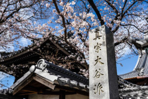 萬念寺と桜